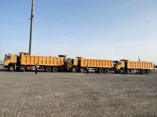 Cnhtc HOWO Sinotruk 8X4 Дамп-грузовик/грузовик с откидкой/грузовик с 300-литровым топливным танкером